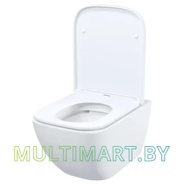 Унитаз IDDIS Torr TORRDSEi25 картинка 2